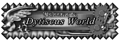 Dytiscus World